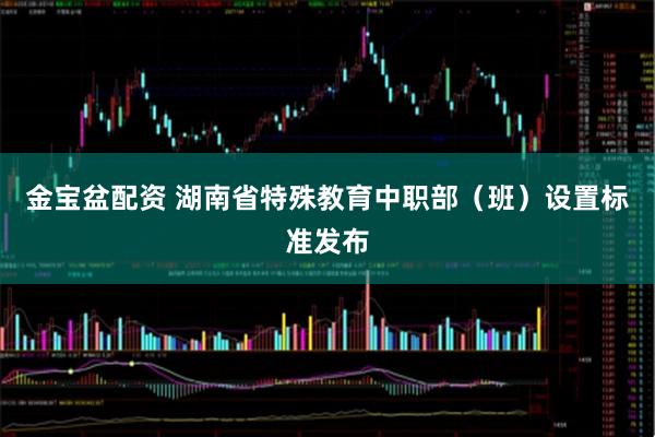 金宝盆配资 湖南省特殊教育中职部（班）设置标准发布